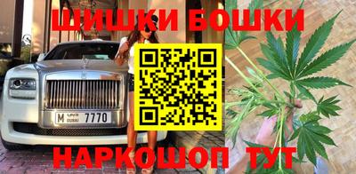 шишки Кинель